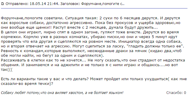 L'agressivité des Corgis envers les autres chiens