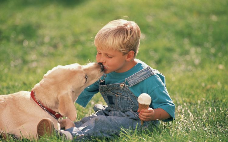 Chien et enfant