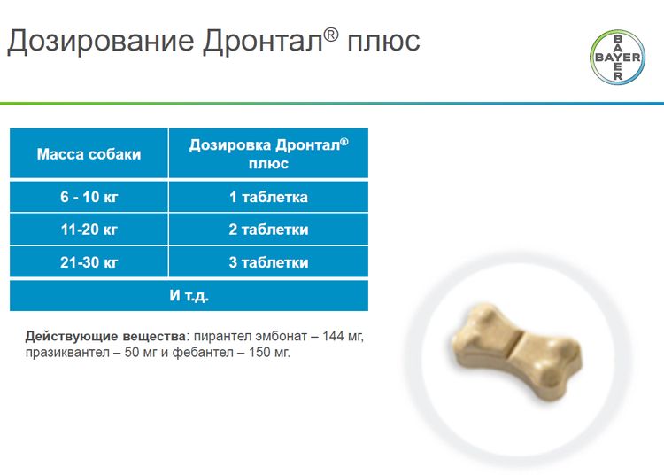 Instructions Drontal pour chiens
