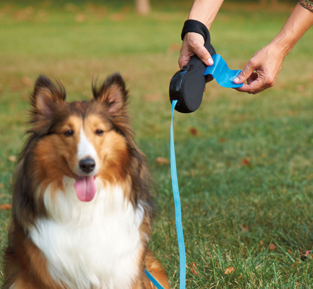 Laisse rétractable pour chien