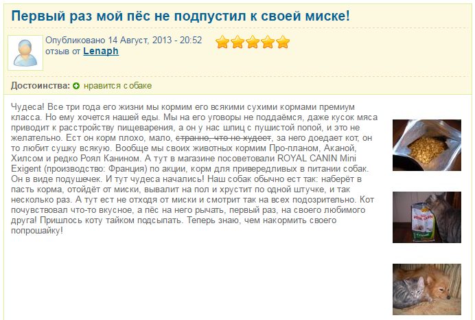 Avis sur les aliments pour animaux Royal Canin