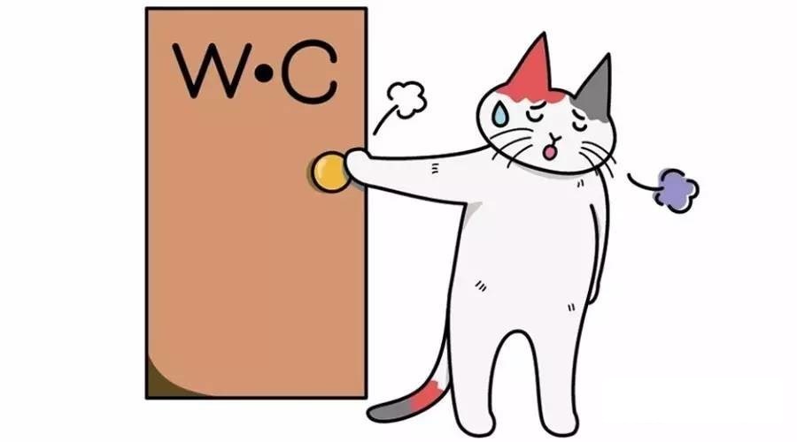 Mon chat a la diarrhée - que faire ?