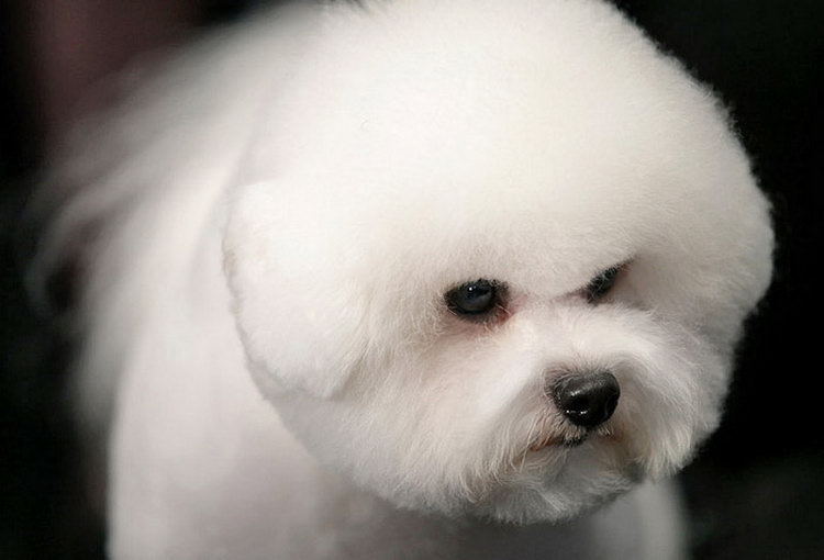 холить с наЍesom