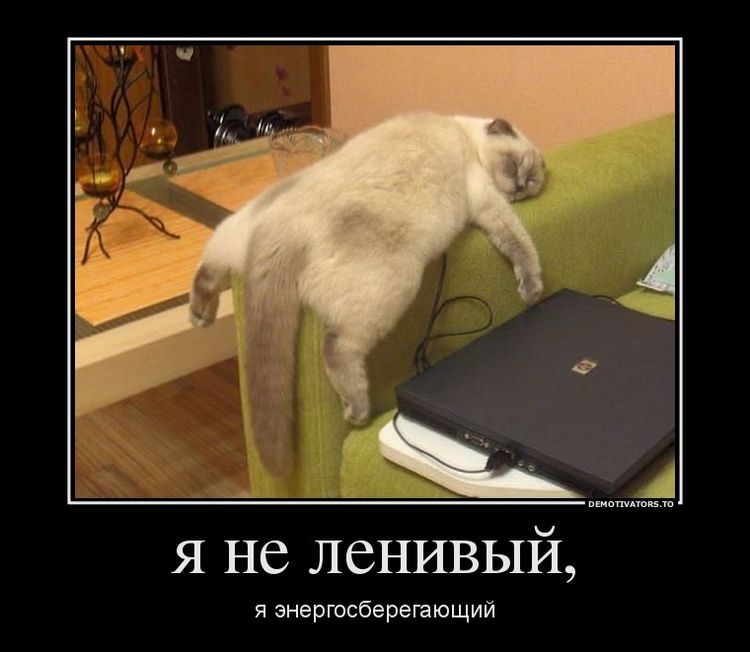 Un gros chat dort sur l'accoudoir