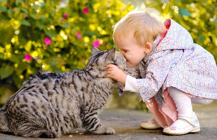 Chat et enfant