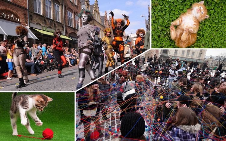 Célébration de la Journée du chat en Pologne et en Italie