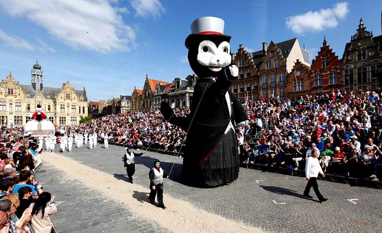 Un festival de chats en Belgique