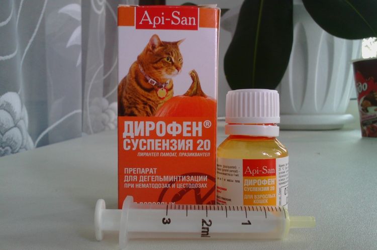 Suspension vermifuge pour chats