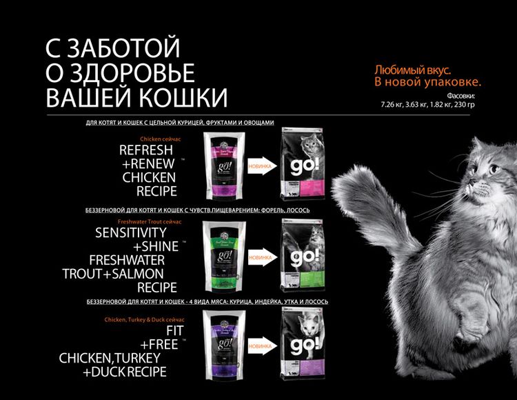 Description de la ligne de restauration Go