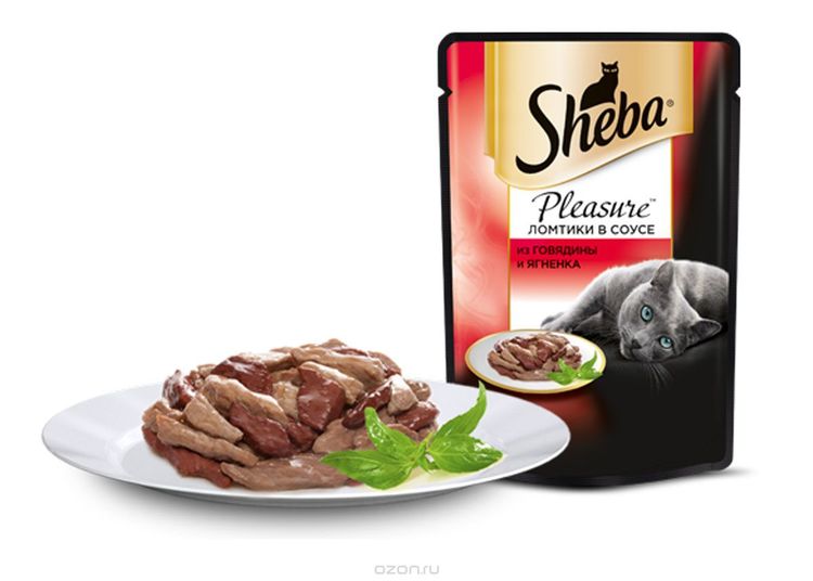 Nourriture de Sheba dans un bol