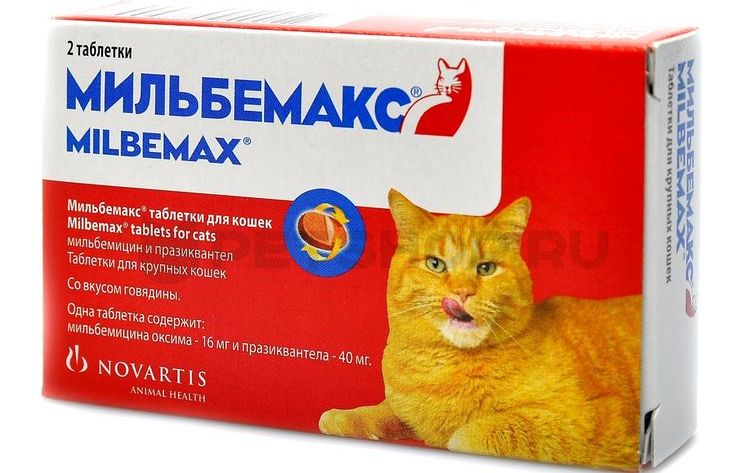 remède anti-vermifuge