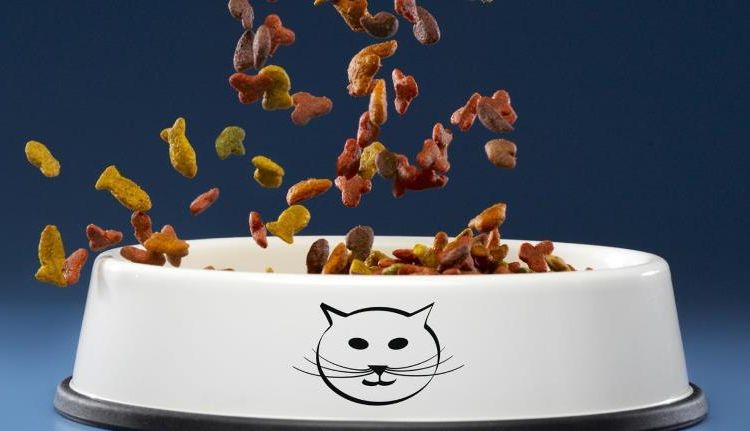Un bol de nourriture pour chat