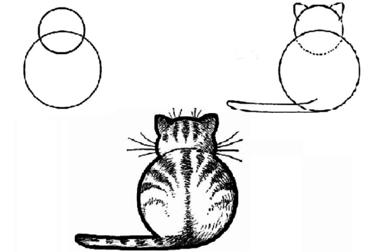 Dessin d'un chat composé de cercles