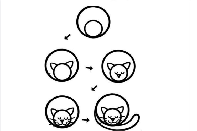Dessin étape par étape d'un chat endormi