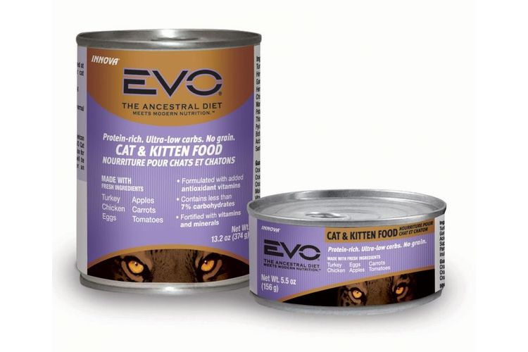 Innova Chat et Chaton