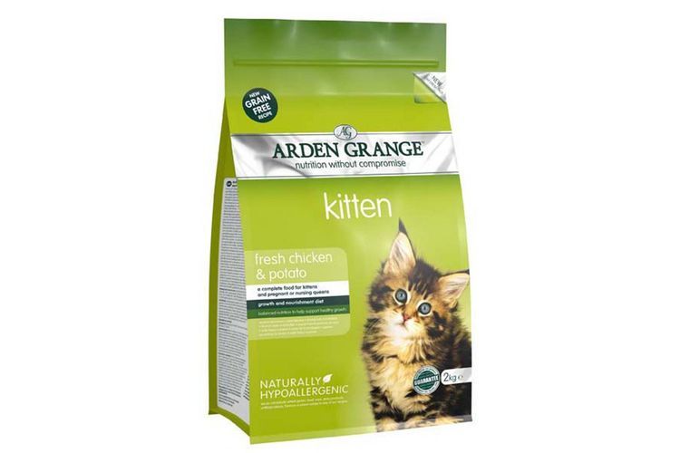Chatons d'Arden Grange