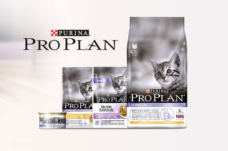 Aliments Pro Plan Junior