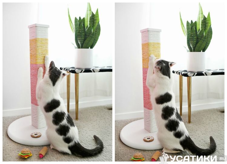 Griffoir rectangulaire