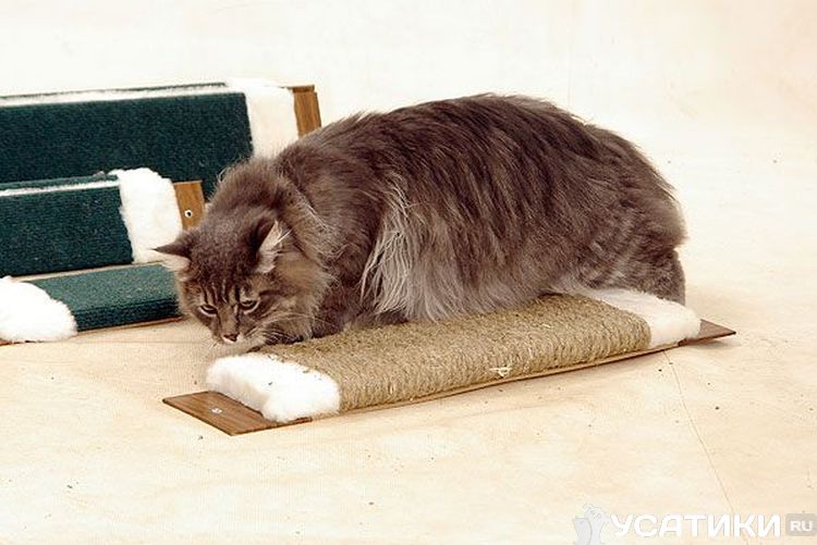 planche à gratter plate