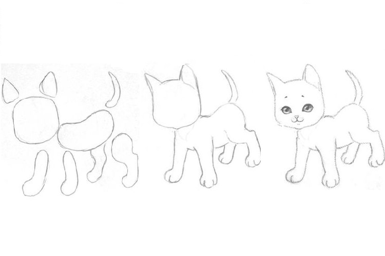 La première étape du dessin d'un chaton