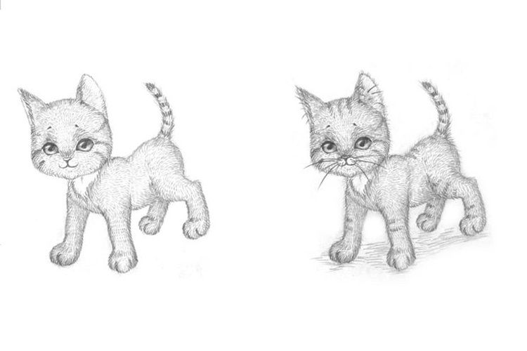La deuxième étape du dessin d'un chaton
