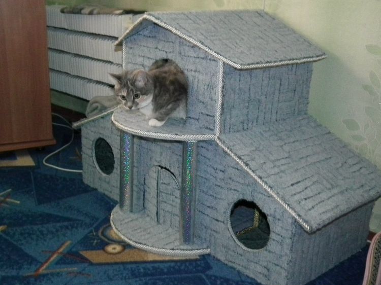 Maison pour chat