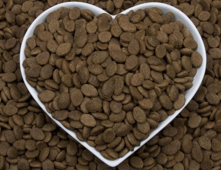 Aliments pour chiens âgés Barking Heads