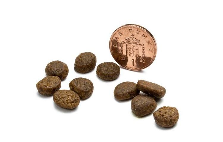 Tailles des granulés pour aliments secs Canagan