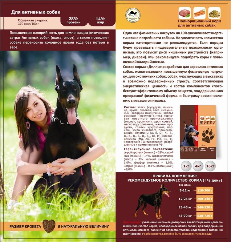 Aliments Dilli pour races actives