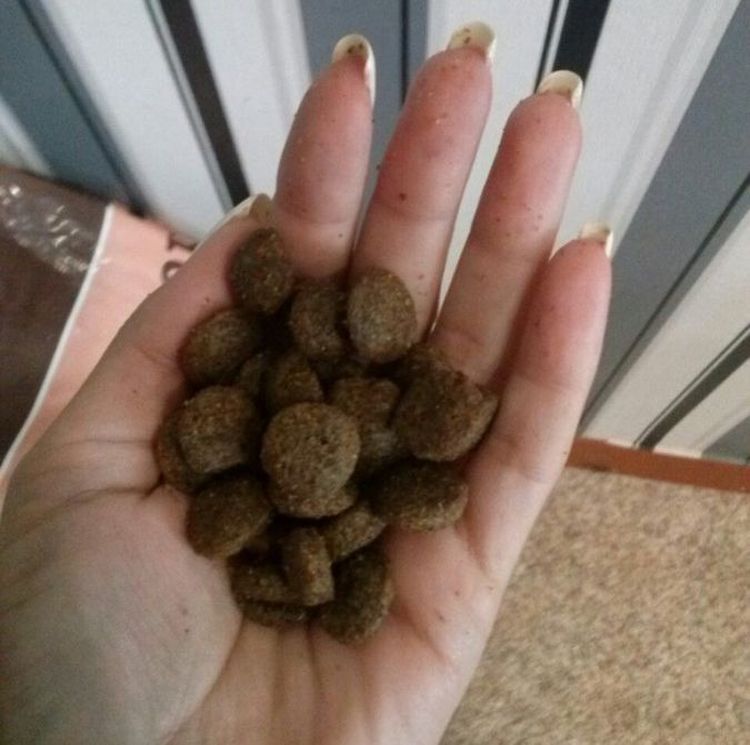 Granulés pour croquettes Dilli pour chiens