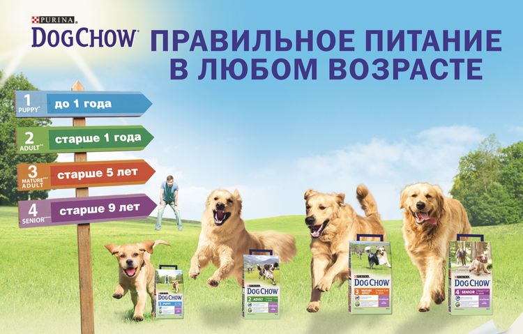 Assortiment de croquettes pour chiens