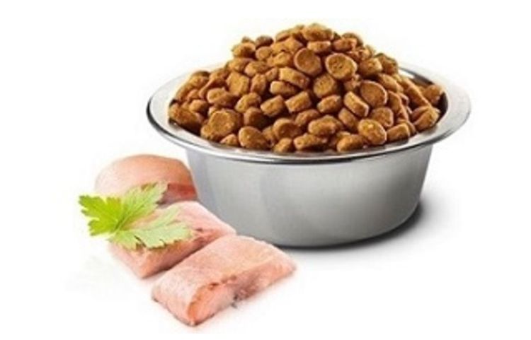 Croquettes pour chien au poisson