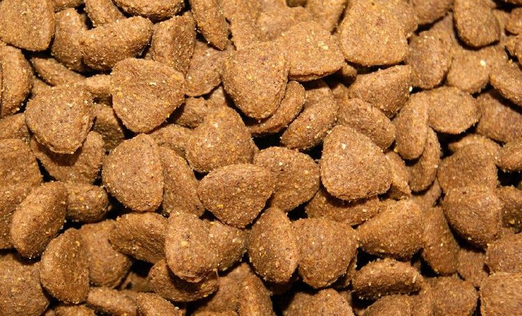 Aliment sec pour chiens Gemon