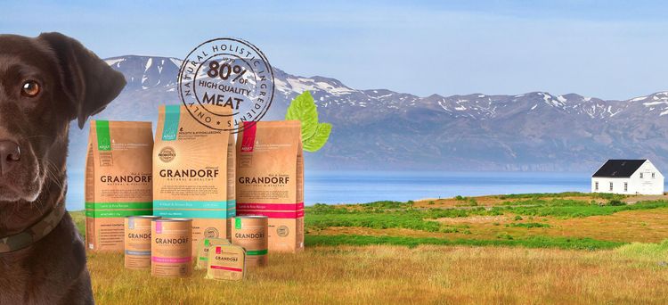 Nourriture pour chiens Grandorf