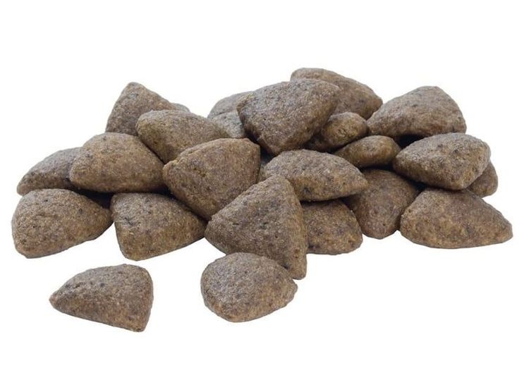 Granulés pour chiens Pro Plan