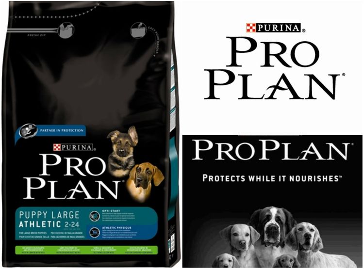 Food Pro Plan pour chiens
