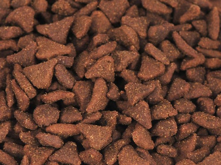 croquettes pour chat