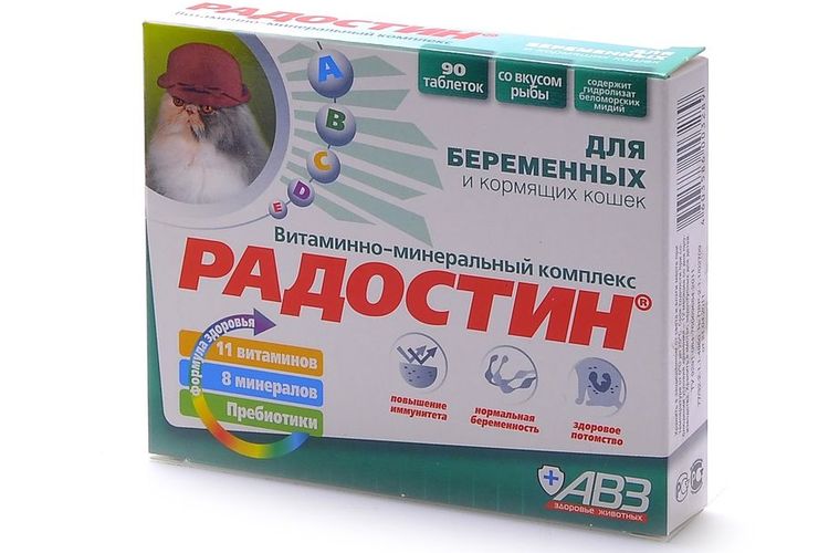 Vitamines pour chattes gestantes