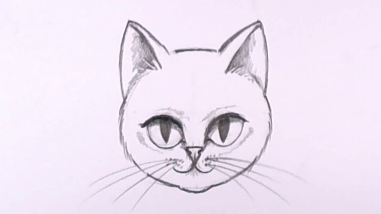 Un dessin au crayon du visage d'un chat