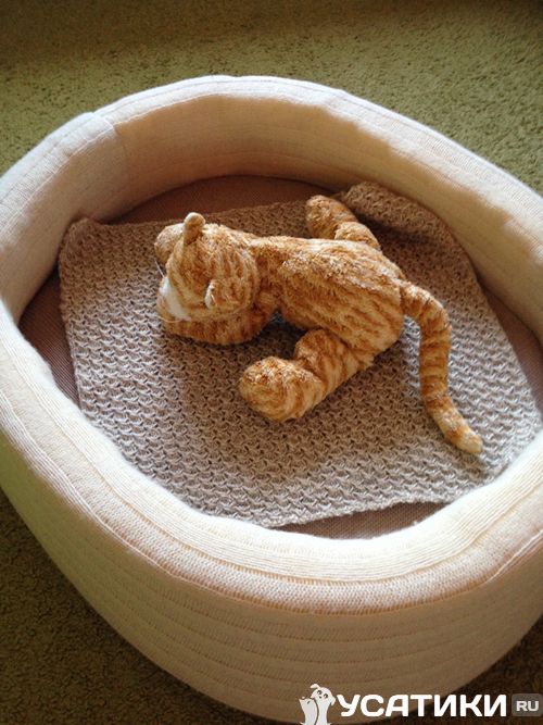 Un lit pour chat fabriqué à partir de vêtements en laine tricotée