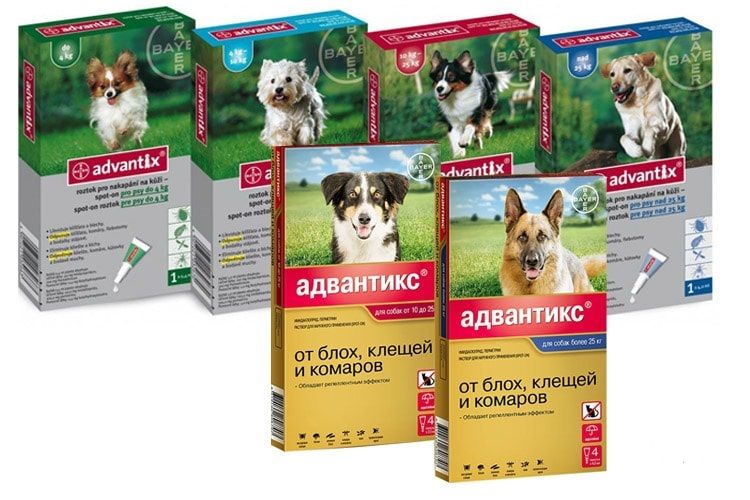 Gamme Advantix pour chiens