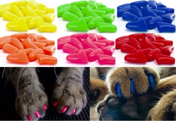 Types de moufles anti-griffures par couleur