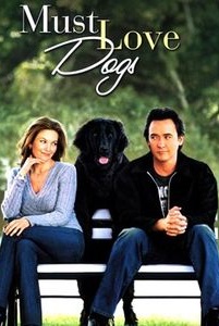 L'amour des chiens est un incontournable au cinéma