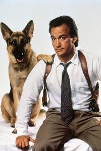 Affiche de travail pour chiens K:9