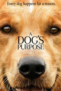 Une vie de chien (film)