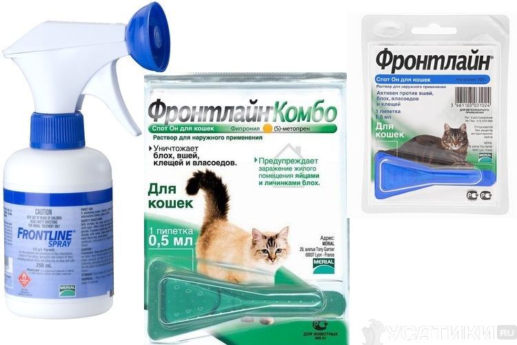 Formes de libération de médicaments