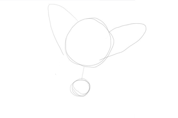 Croquis de Barboskin le chiot