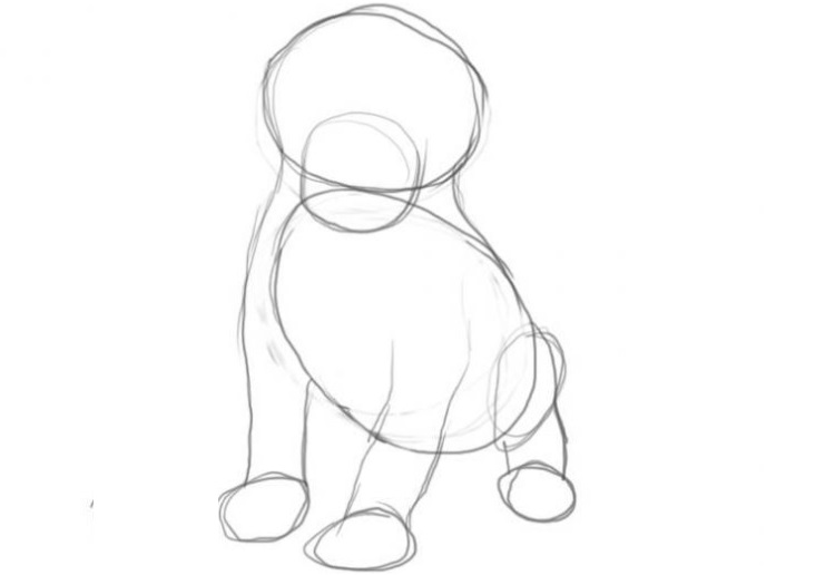 Dessin au crayon d'un chien