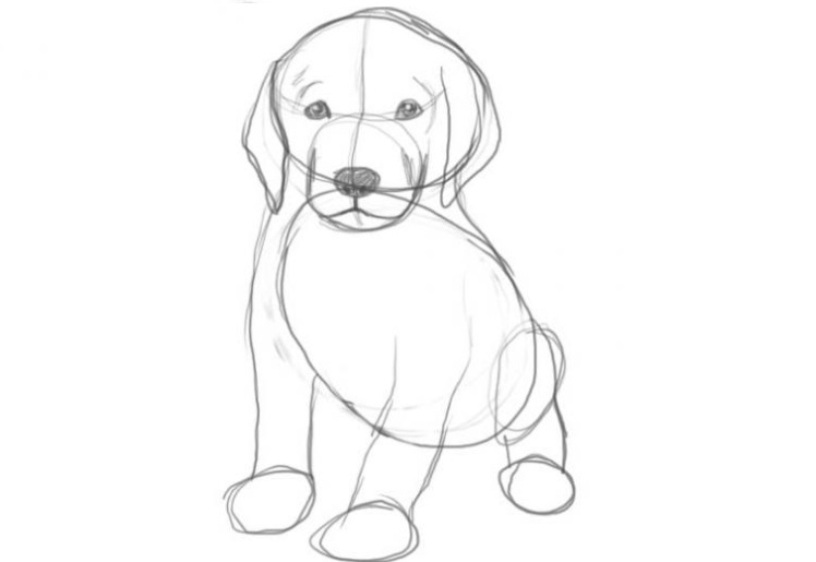 Dessin au crayon d'un chien