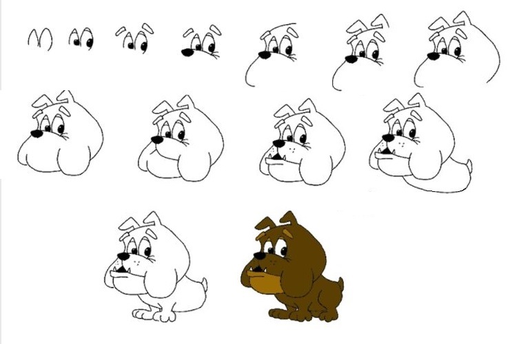Croquis étape par étape d'un bouledogue